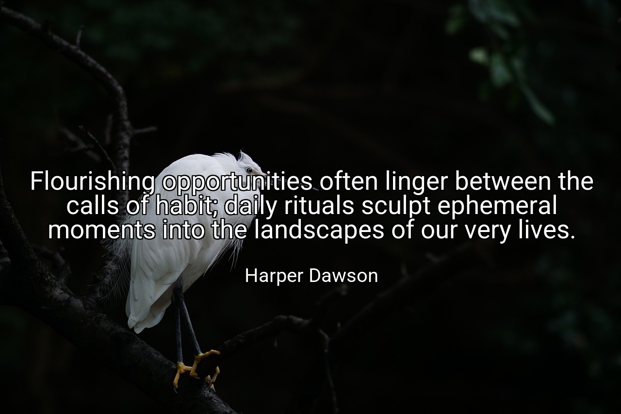 Flourishing opportunities often linger between the calls of habit; daily rituals sculpt ephemeral moments into the landscapes of our very lives. - Harper Dawson