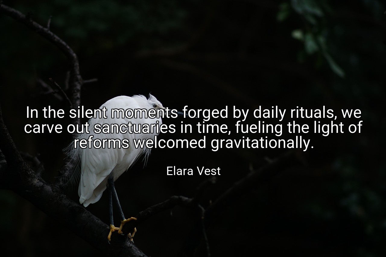 In the silent moments forged by daily rituals, we carve out sanctuaries in time, fueling the light of reforms welcomed gravitationally. - Elara Vest