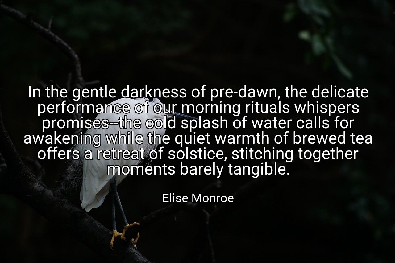 In the gentle darkness of pre-dawn, the delicate performance of our morning rituals whispers promises--the cold splash of water calls for awakening while the quiet warmth of brewed tea offers a retreat of solstice, stitching together moments barely tangible. - Elise Monroe