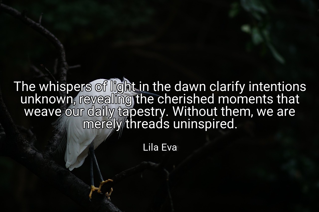 The whispers of light in the dawn clarify intentions unknown, revealing the cherished moments that weave our daily tapestry. Without them, we are merely threads uninspired. - Lila Eva