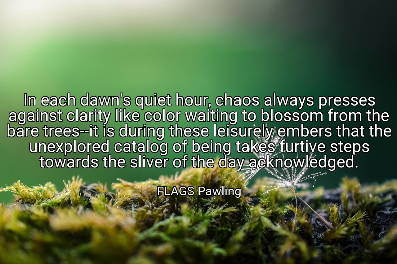 In each dawn's quiet hour, chaos always presses against clarity like color waiting to blossom from the bare trees--it is during these leisurely embers that the unexplored catalog of being takes furtive steps towards the sliver of the day acknowledged. - FLAGS Pawling