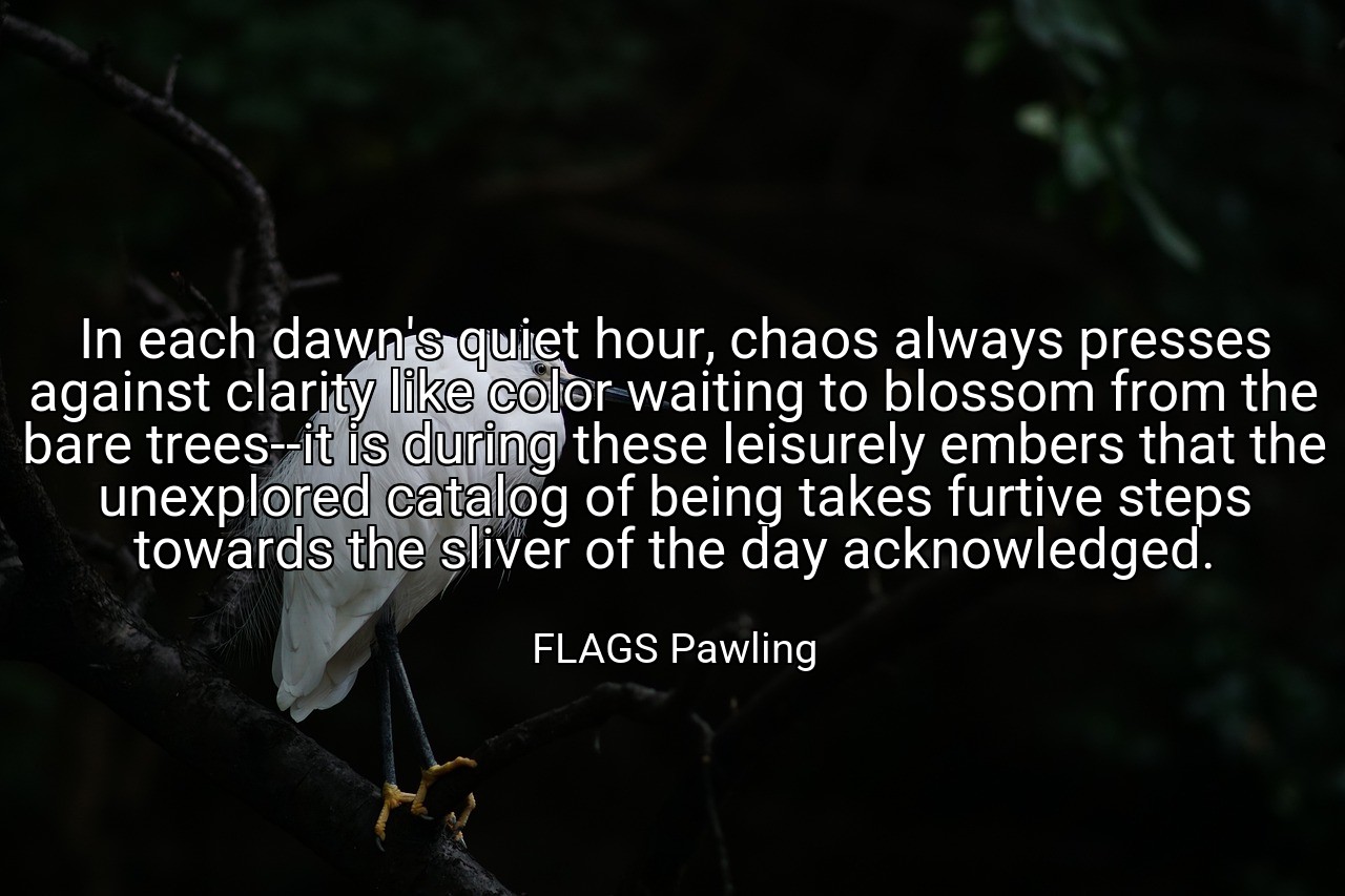 In each dawn's quiet hour, chaos always presses against clarity like color waiting to blossom from the bare trees--it is during these leisurely embers that the unexplored catalog of being takes furtive steps towards the sliver of the day acknowledged. - FLAGS Pawling