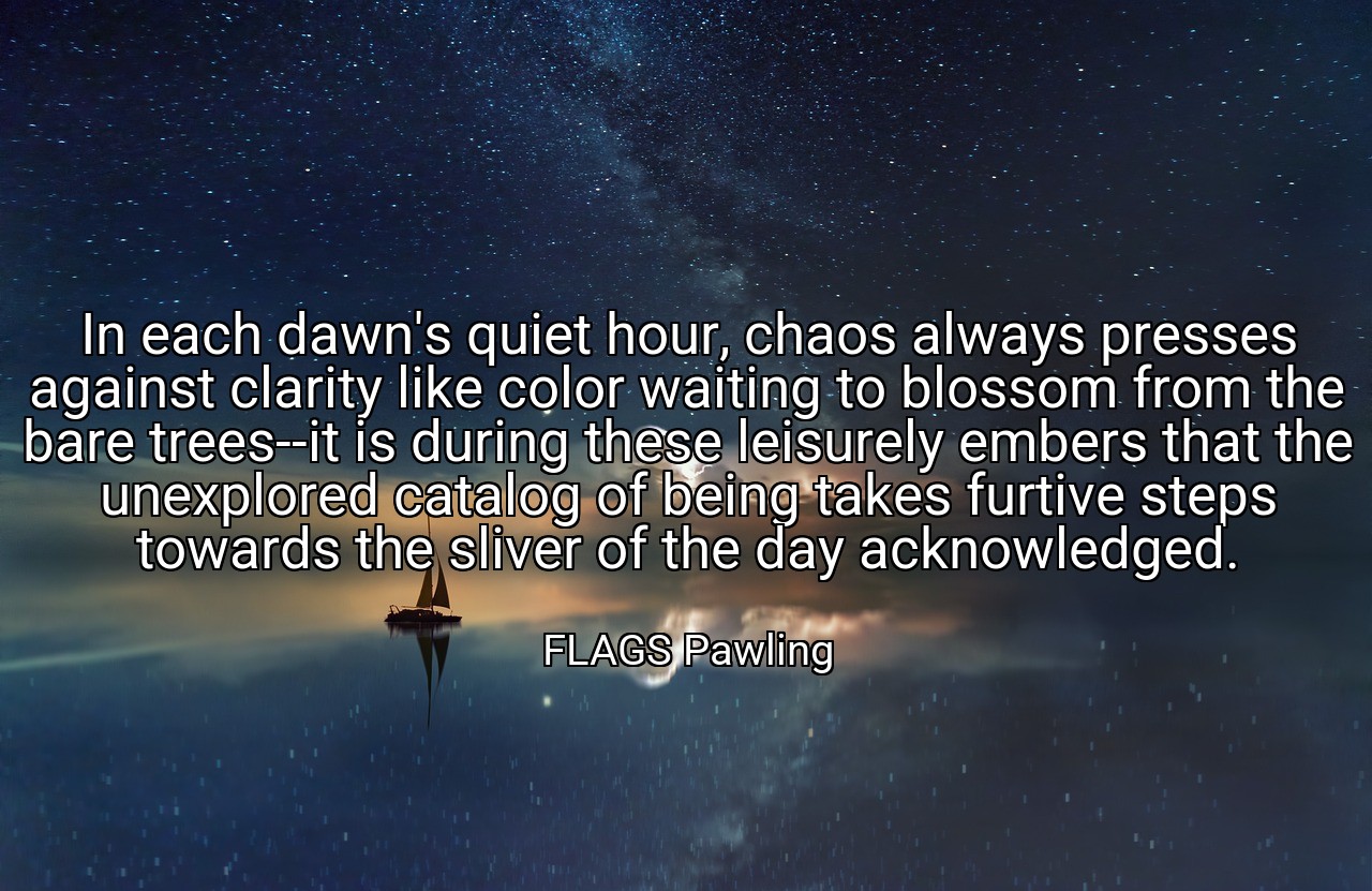 In each dawn's quiet hour, chaos always presses against clarity like color waiting to blossom from the bare trees--it is during these leisurely embers that the unexplored catalog of being takes furtive steps towards the sliver of the day acknowledged. - FLAGS Pawling