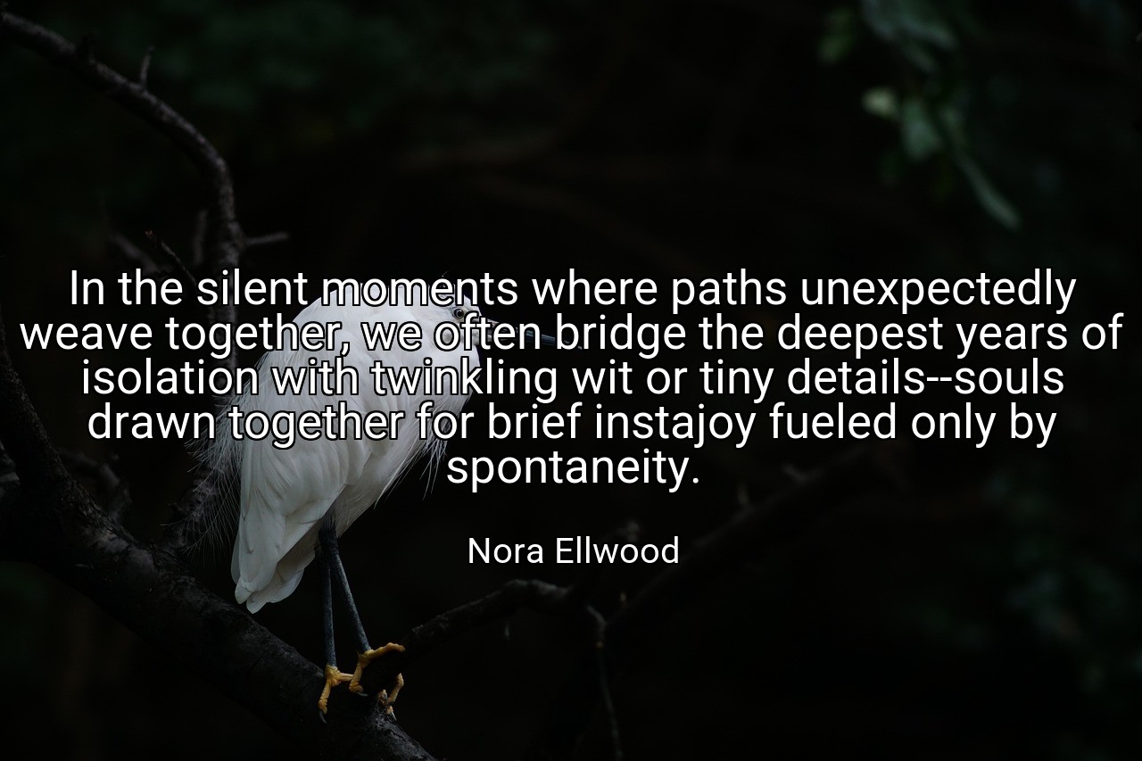 In the silent moments where paths unexpectedly weave together, we often bridge the deepest years of isolation with twinkling wit or tiny details--souls drawn together for brief instajoy fueled only by spontaneity. - Nora Ellwood