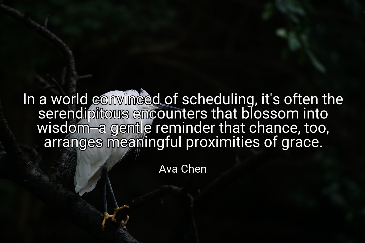 In a world convinced of scheduling, it's often the serendipitous encounters that blossom into wisdom--a gentle reminder that chance, too, arranges meaningful proximities of grace. - Ava Chen
