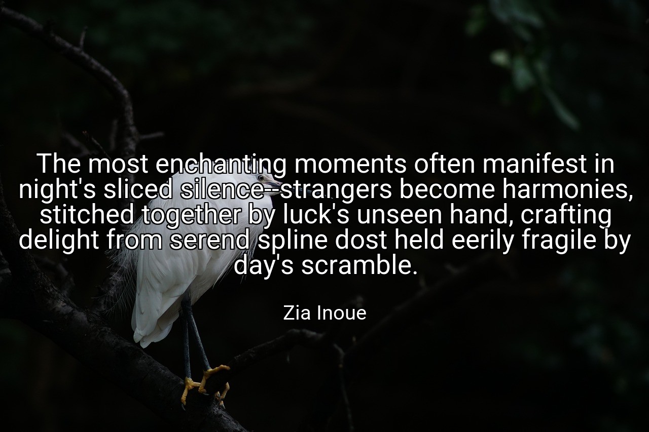The most enchanting moments often manifest in night's sliced silence--strangers become harmonies, stitched together by luck's unseen hand, crafting delight from serend spline dost held eerily fragile by day's scramble. - Zia Inoue