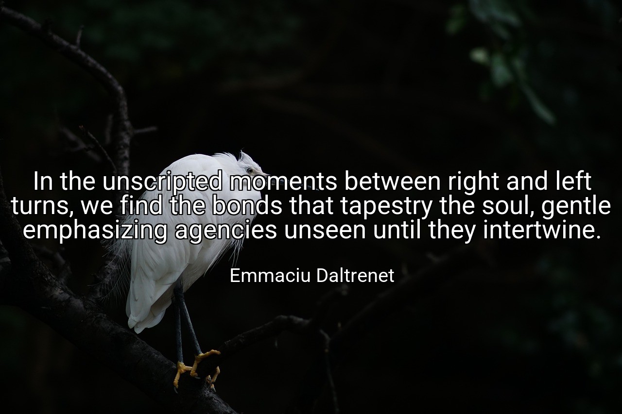 In the unscripted moments between right and left turns, we find the bonds that tapestry the soul, gentle emphasizing agencies unseen until they intertwine. - Emmaciu Daltrenet