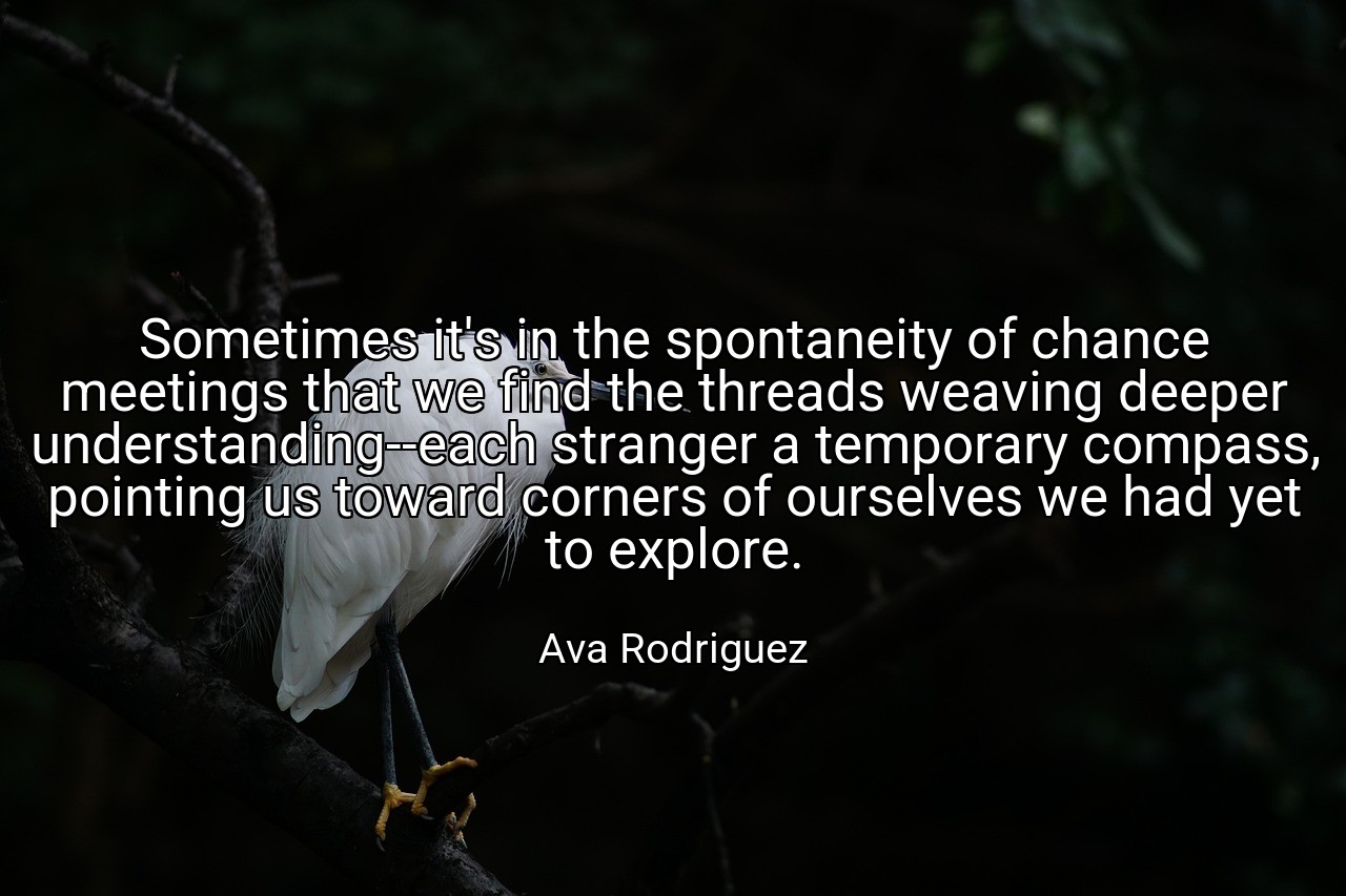Sometimes it's in the spontaneity of chance meetings that we find the threads weaving deeper understanding--each stranger a temporary compass, pointing us toward corners of ourselves we had yet to explore. - Ava Rodriguez
