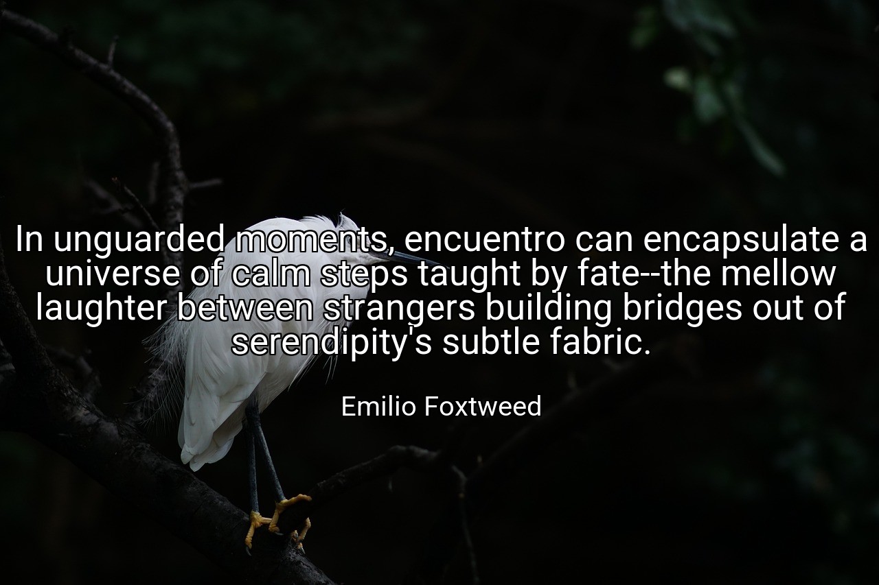 In unguarded moments, encuentro can encapsulate a universe of calm steps taught by fate--the mellow laughter between strangers building bridges out of serendipity's subtle fabric. - Emilio Foxtweed