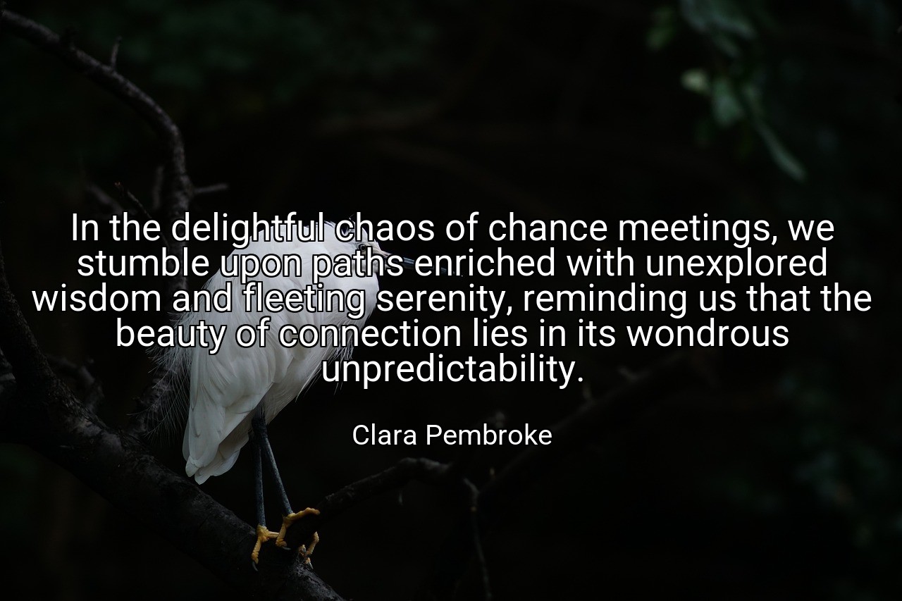 In the delightful chaos of chance meetings, we stumble upon paths enriched with unexplored wisdom and fleeting serenity, reminding us that the beauty of connection lies in its wondrous unpredictability. - Clara Pembroke