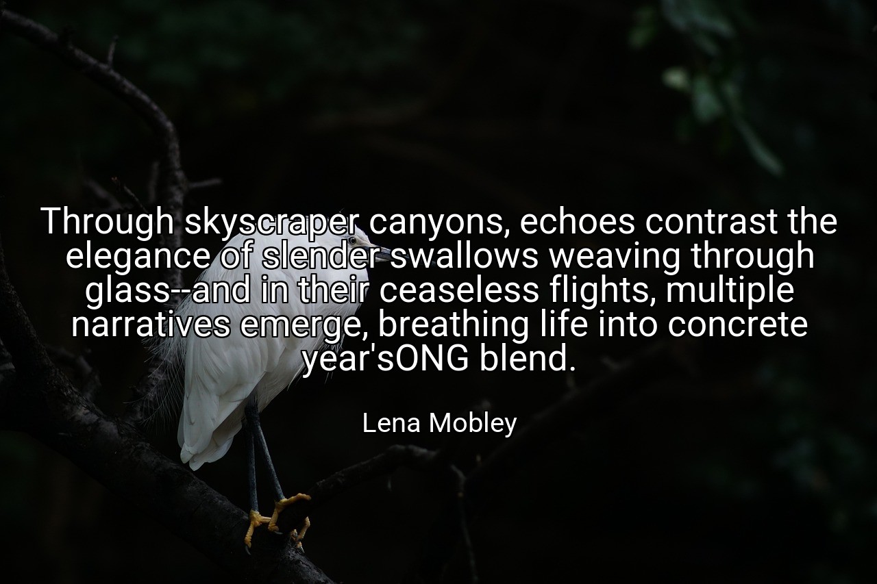 Through skyscraper canyons, echoes contrast the elegance of slender swallows weaving through glass--and in their ceaseless flights, multiple narratives emerge, breathing life into concrete year'sONG blend. - Lena Mobley