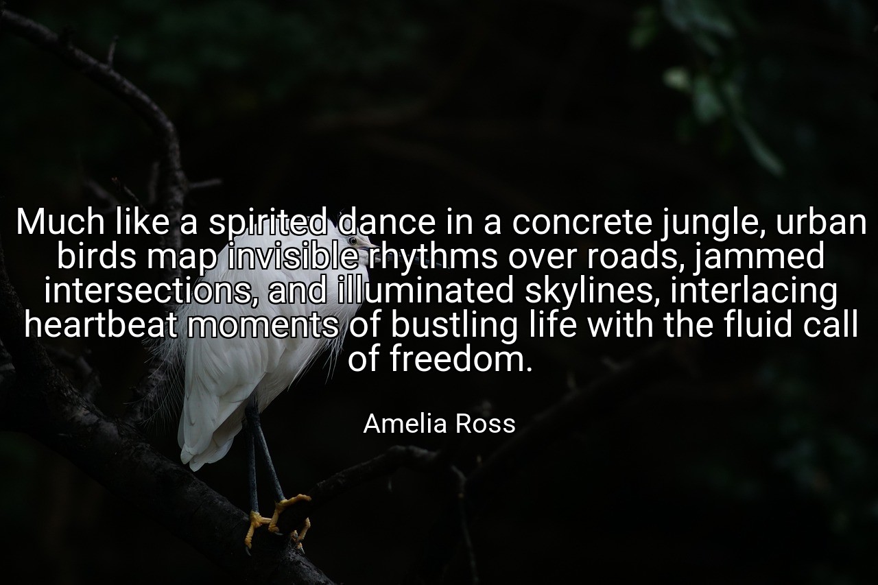 Much like a spirited dance in a concrete jungle, urban birds map invisible rhythms over roads, jammed intersections, and illuminated skylines, interlacing heartbeat moments of bustling life with the fluid call of freedom. - Amelia Ross