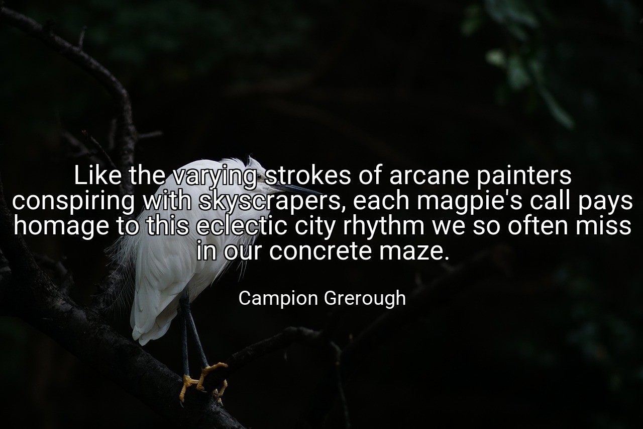 Like the varying strokes of arcane painters conspiring with skyscrapers, each magpie's call pays homage to this eclectic city rhythm we so often miss in our concrete maze. - Campion Grerough