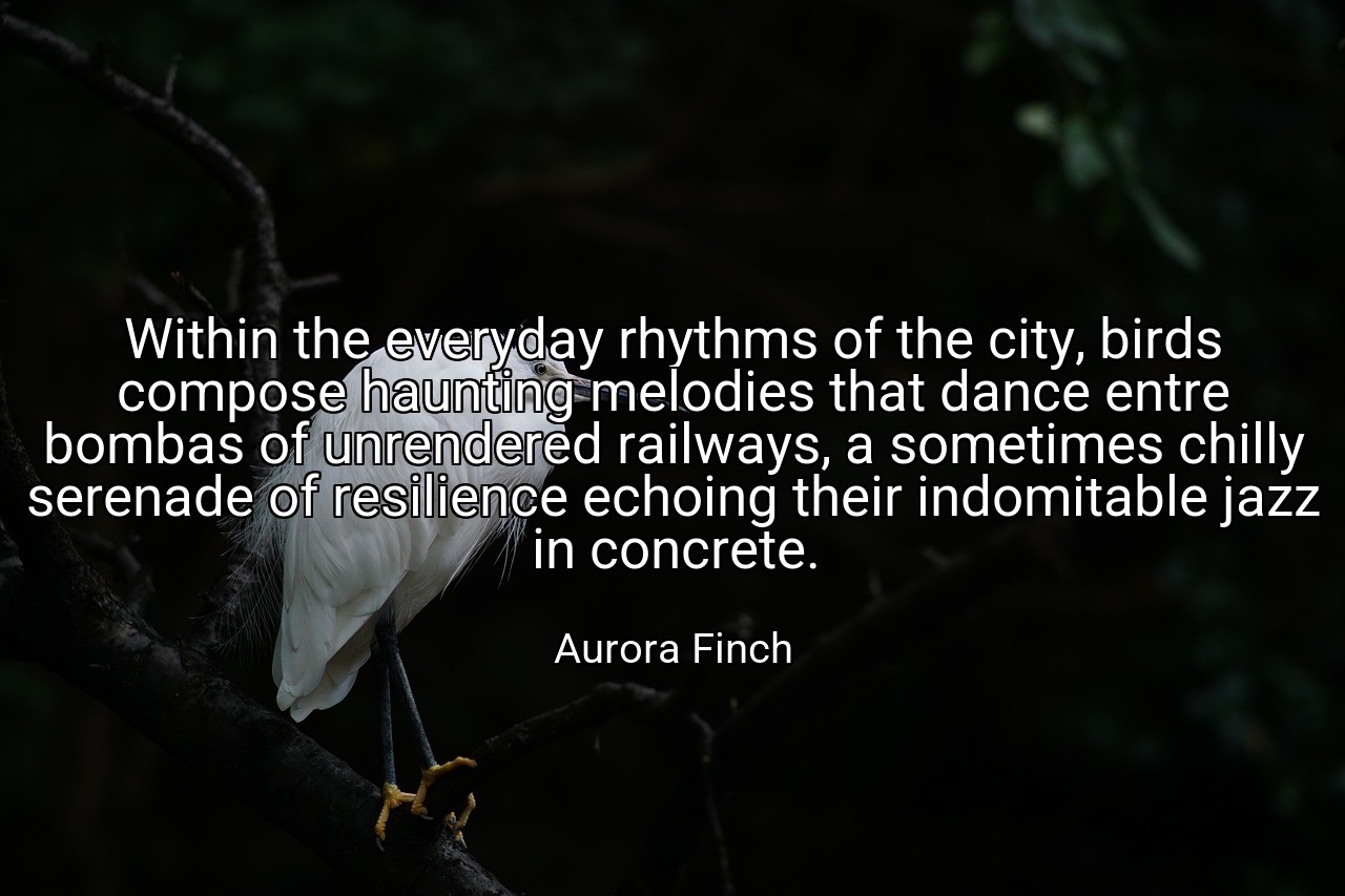 Within the everyday rhythms of the city, birds compose haunting melodies that dance entre bombas of unrendered railways, a sometimes chilly serenade of resilience echoing their indomitable jazz in concrete. - Aurora Finch