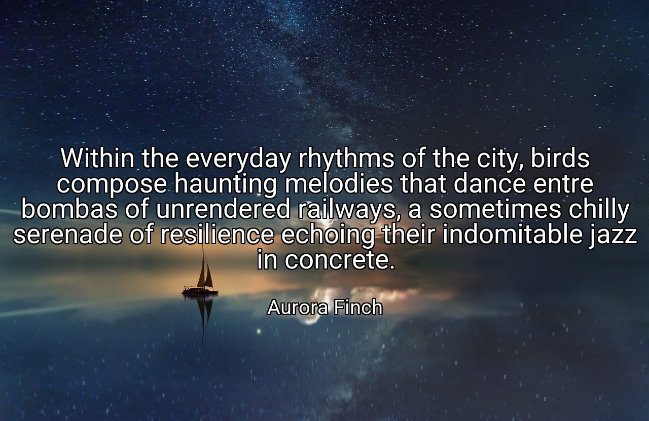 Within the everyday rhythms of the city, birds compose haunting melodies that dance entre bombas of unrendered railways, a sometimes chilly serenade of resilience echoing their indomitable jazz in concrete. - Aurora Finch