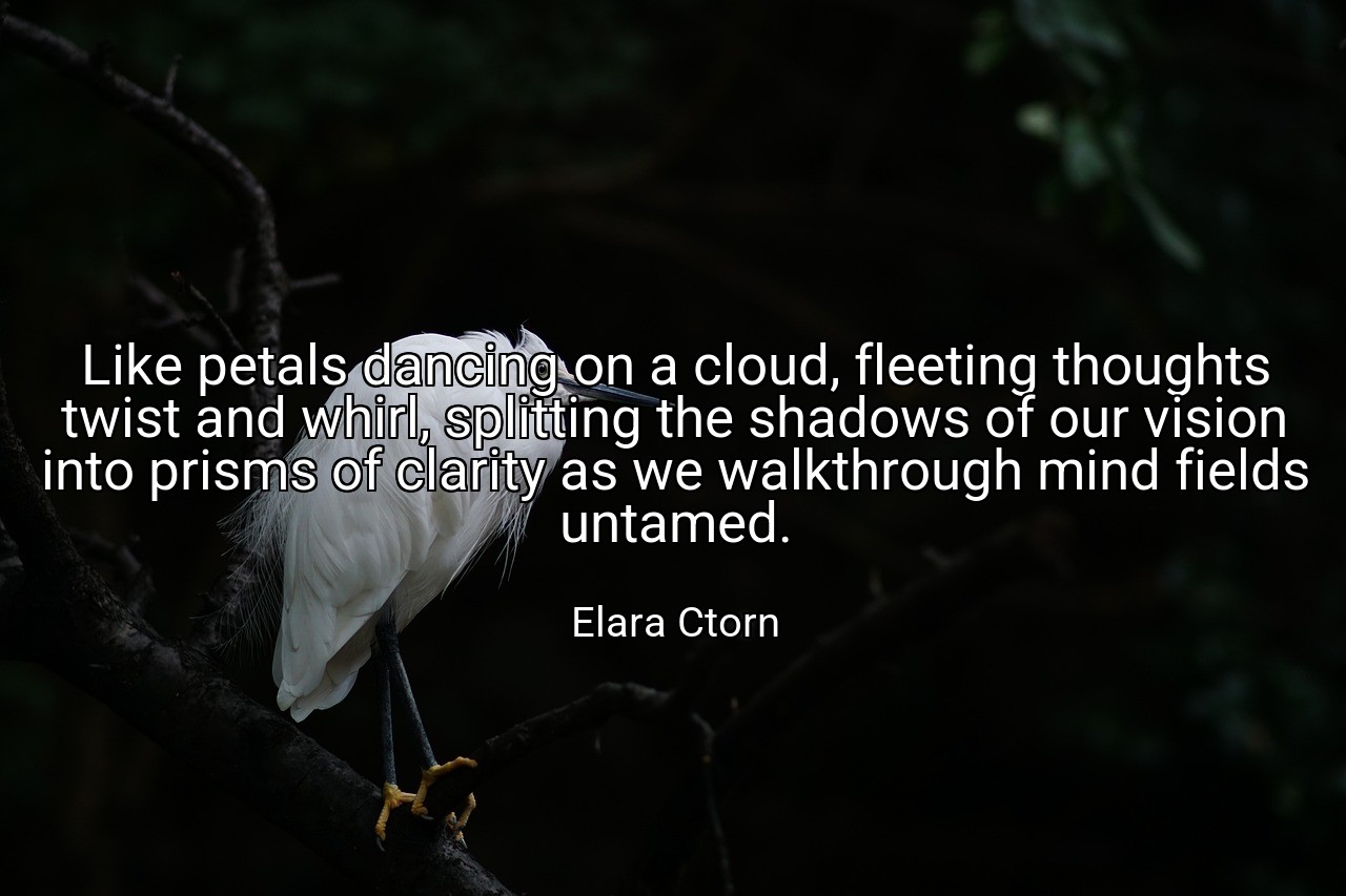 Like petals dancing on a cloud, fleeting thoughts twist and whirl, splitting the shadows of our vision into prisms of clarity as we walkthrough mind fields untamed. - Elara Ctorn
