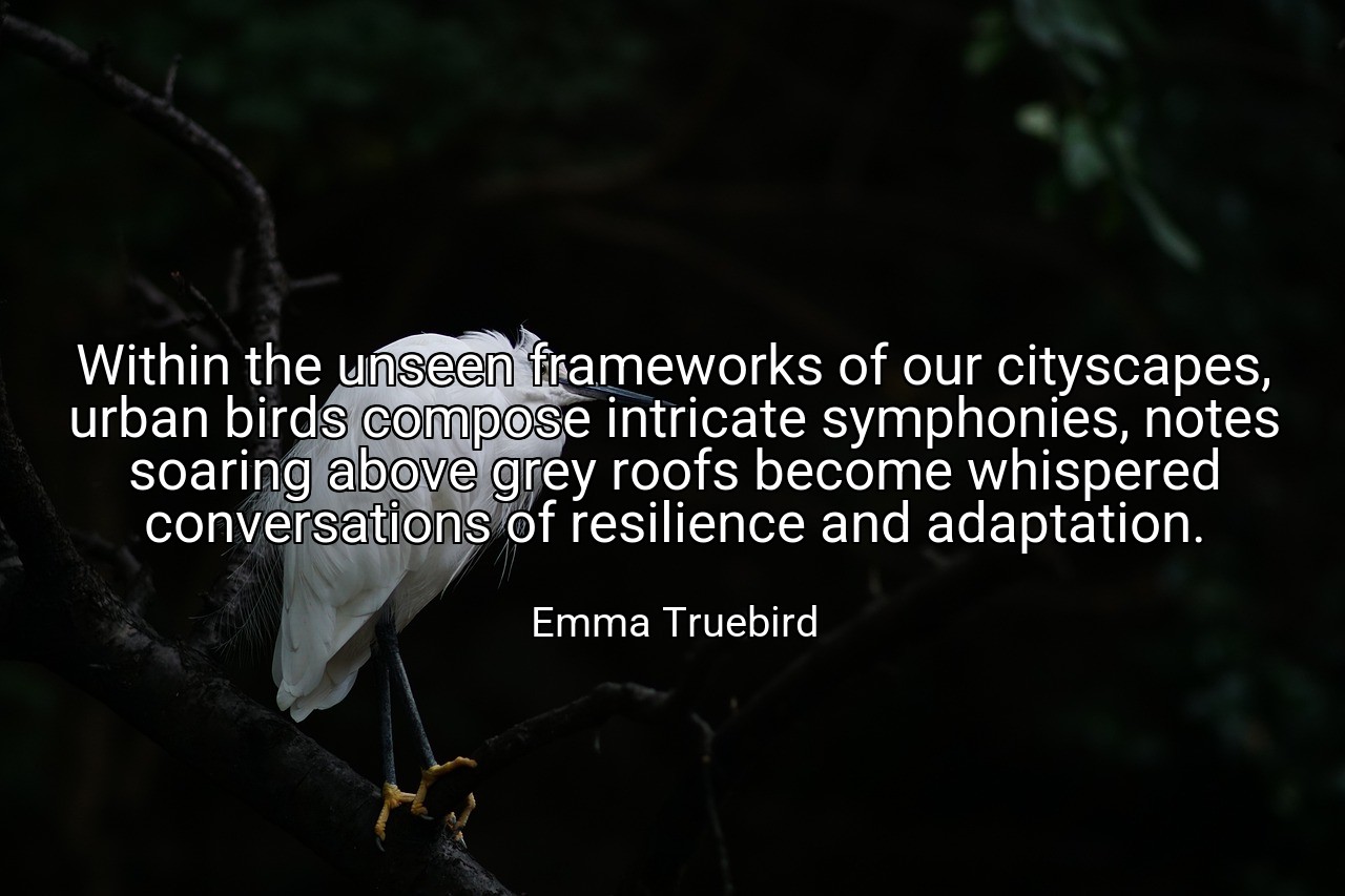 Within the unseen frameworks of our cityscapes, urban birds compose intricate symphonies, notes soaring above grey roofs become whispered conversations of resilience and adaptation. - Emma Truebird