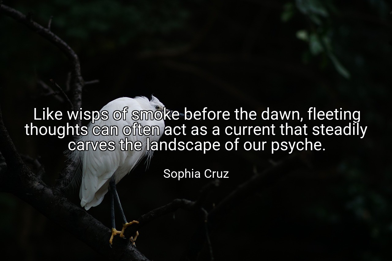 Like wisps of smoke before the dawn, fleeting thoughts can often act as a current that steadily carves the landscape of our psyche. - Sophia Cruz