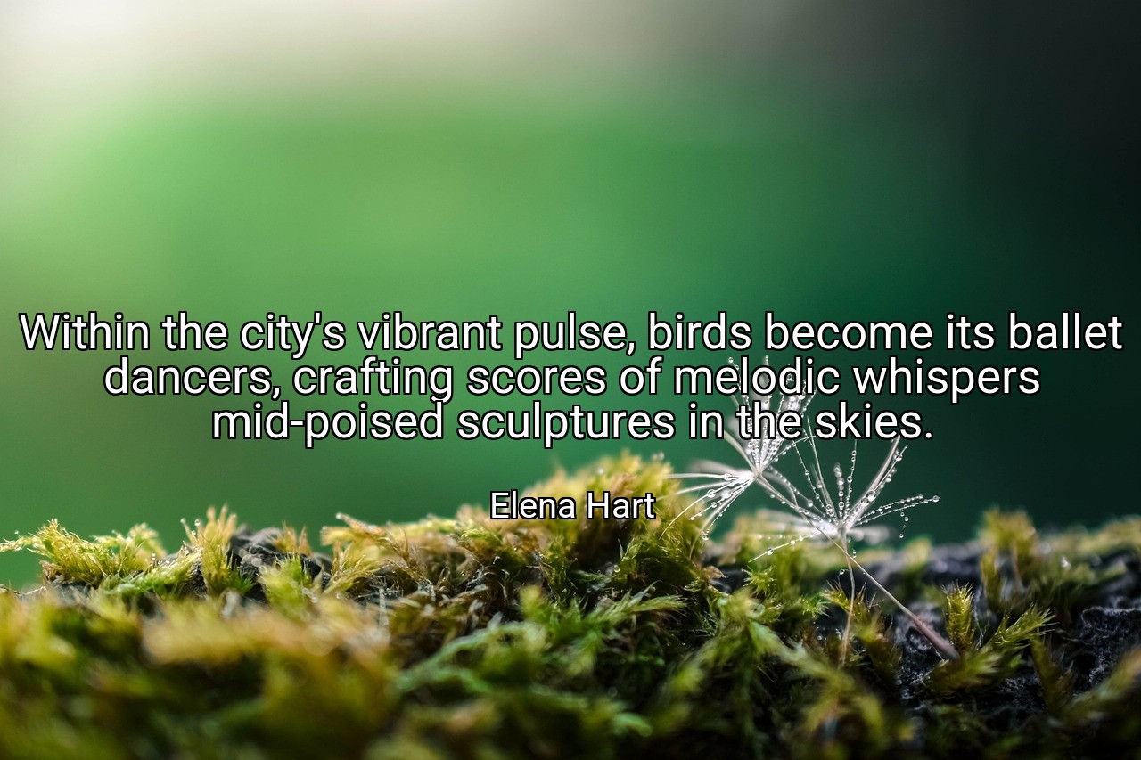 Within the city's vibrant pulse, birds become its ballet dancers, crafting scores of melodic whispers mid-poised sculptures in the skies. - Elena Hart