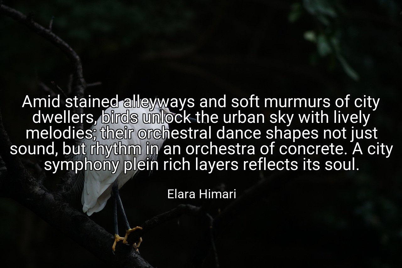 Amid stained alleyways and soft murmurs of city dwellers, birds unlock the urban sky with lively melodies; their orchestral dance shapes not just sound, but rhythm in an orchestra of concrete. A city symphony plein rich layers reflects its soul. - Elara Himari