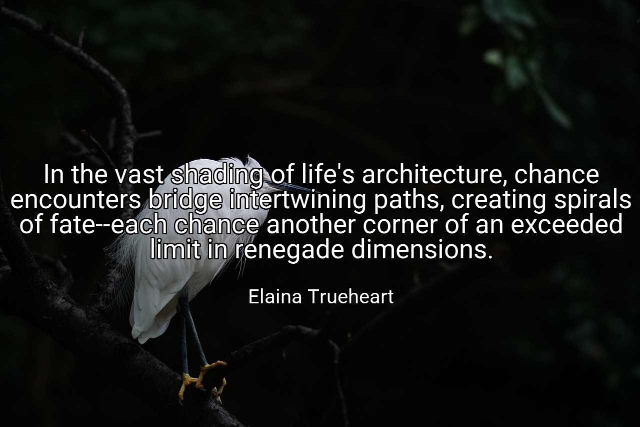 In the vast shading of life's architecture, chance encounters bridge intertwining paths, creating spirals of fate--each chance another corner of an exceeded limit in renegade dimensions. - Elaina Trueheart