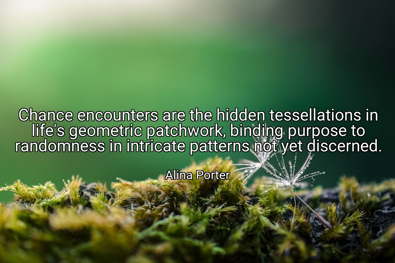 Chance encounters are the hidden tessellations in life's geometric patchwork, binding purpose to randomness in intricate patterns not yet discerned. - Alina Porter