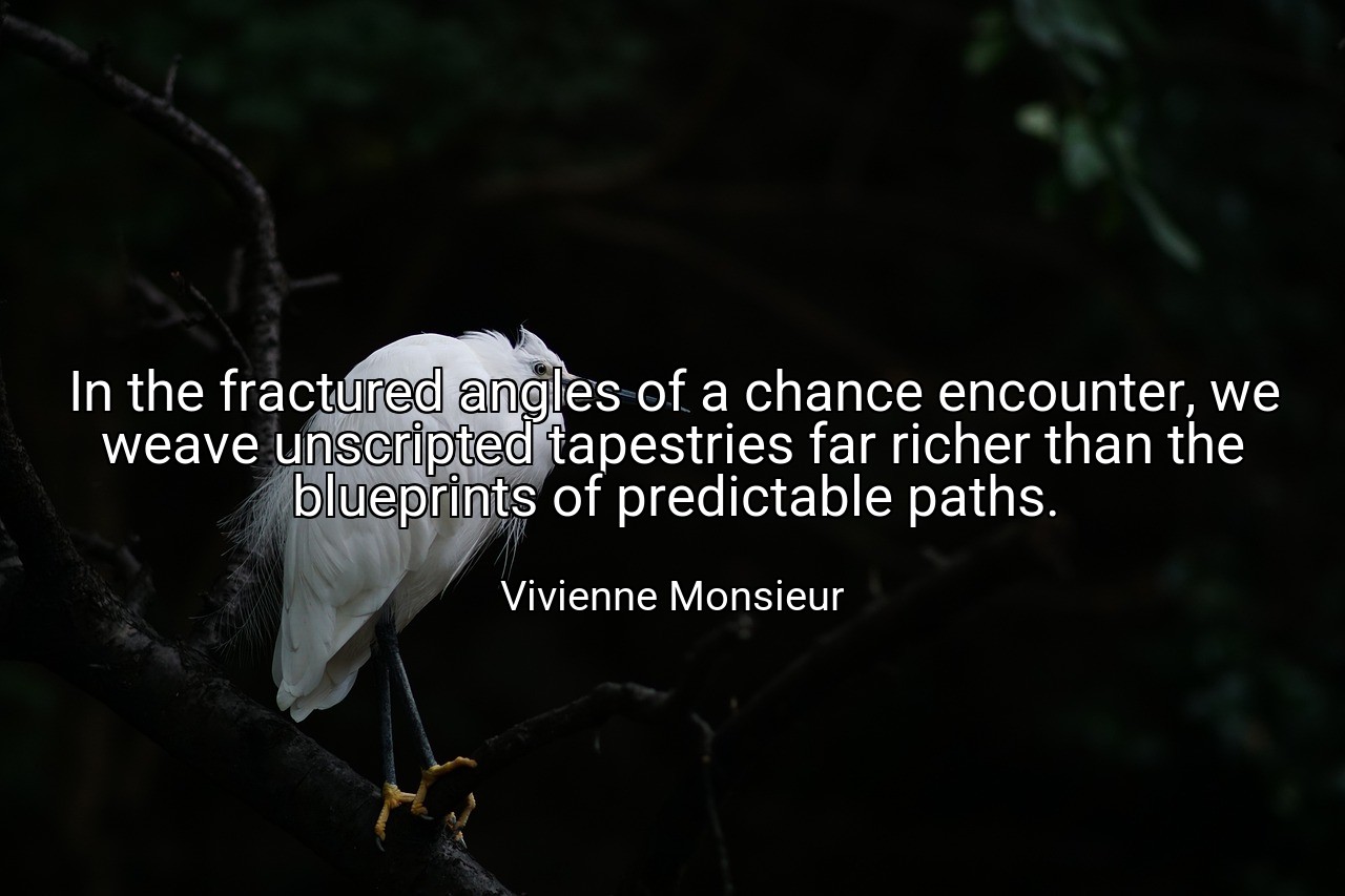 In the fractured angles of a chance encounter, we weave unscripted tapestries far richer than the blueprints of predictable paths. - Vivienne Monsieur
