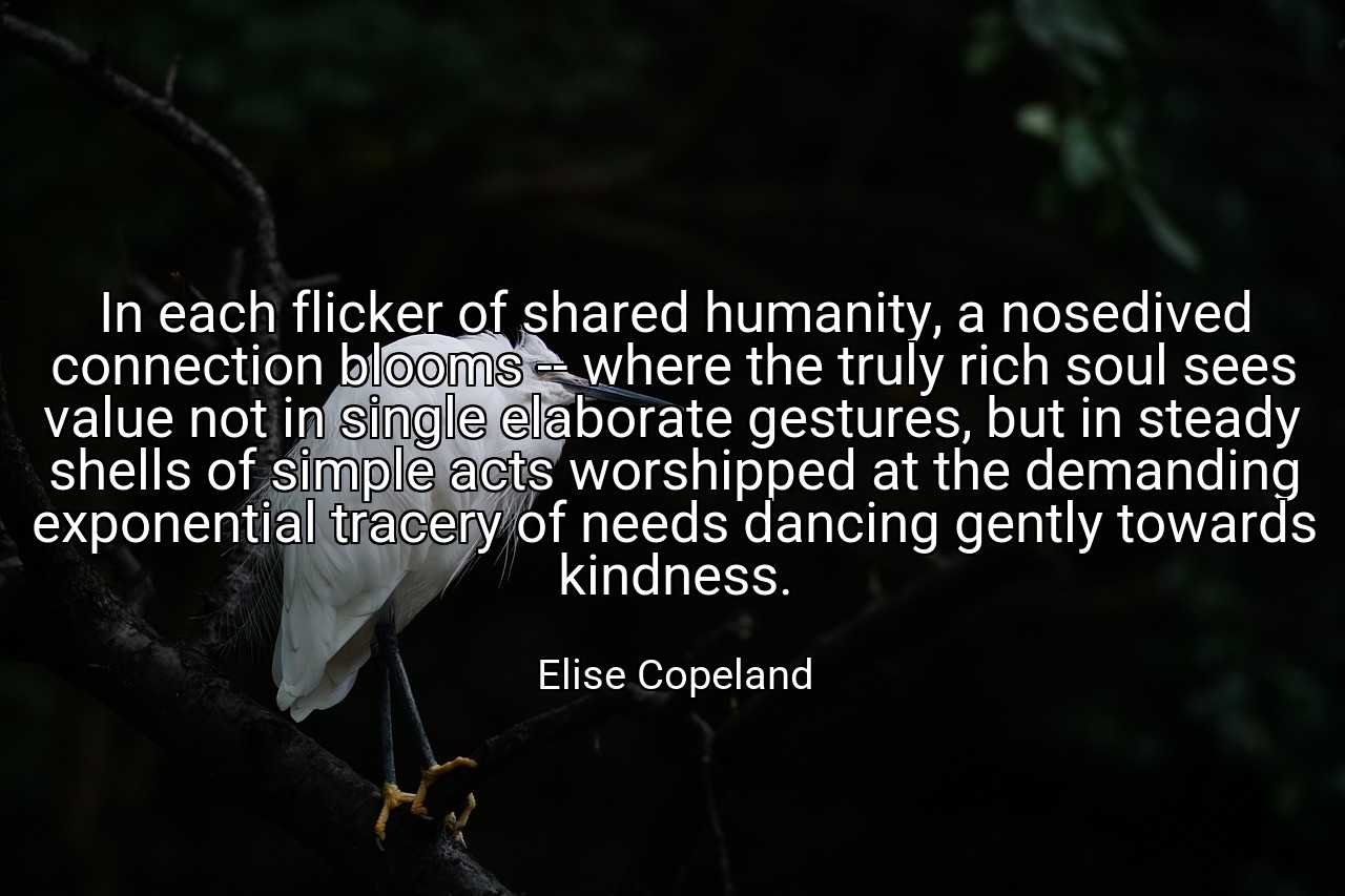 In each flicker of shared humanity, a nosedived connection blooms -- where the truly rich soul sees value not in single elaborate gestures, but in steady shells of simple acts worshipped at the demanding exponential tracery of needs dancing gently towards kindness. - Elise Copeland
