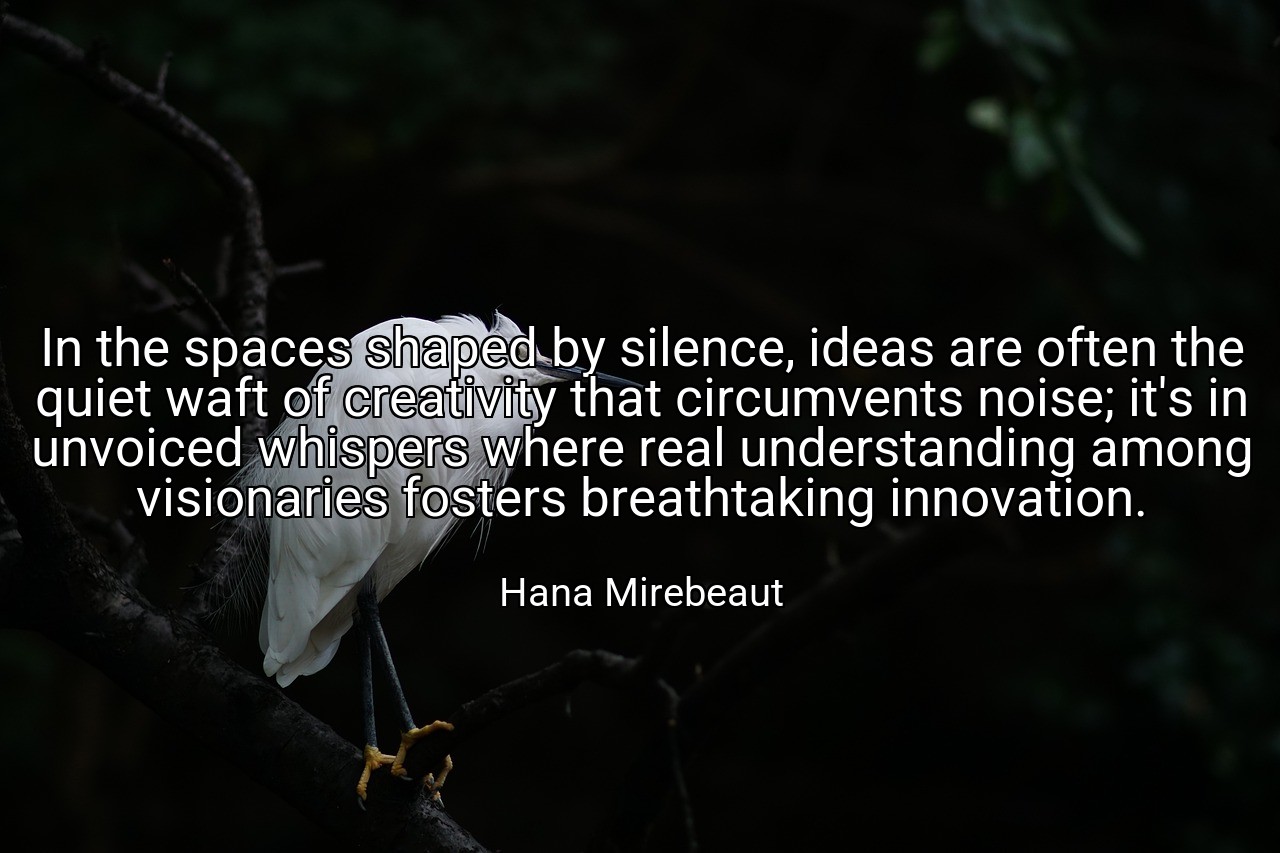 In the spaces shaped by silence, ideas are often the quiet waft of creativity that circumvents noise; it's in unvoiced whispers where real understanding among visionaries fosters breathtaking innovation. - Hana Mirebeaut
