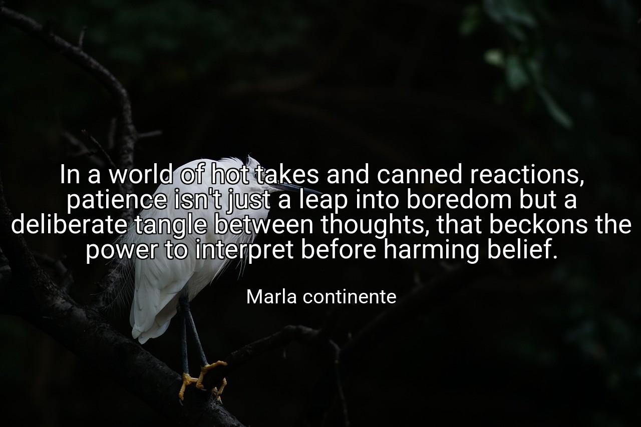 In a world of hot takes and canned reactions, patience isn't just a leap into boredom but a deliberate tangle between thoughts, that beckons the power to interpret before harming belief. - Marla continente