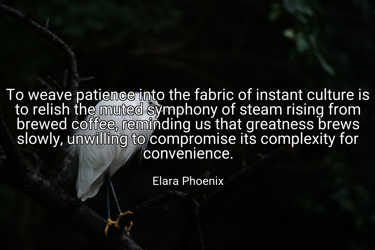 To weave patience into the fabric of instant culture is to relish the muted symphony of steam rising from brewed coffee, reminding us that greatness brews slowly, unwilling to compromise its complexity for convenience. - Elara Phoenix