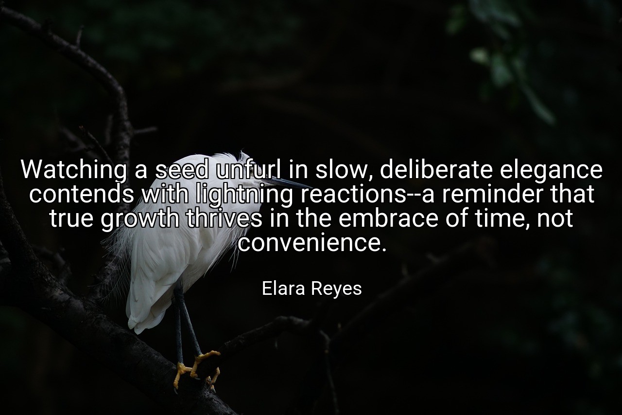 Watching a seed unfurl in slow, deliberate elegance contends with lightning reactions--a reminder that true growth thrives in the embrace of time, not convenience. - Elara Reyes
