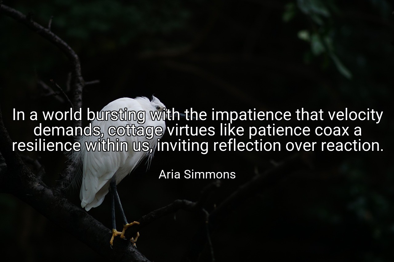 In a world bursting with the impatience that velocity demands, cottage virtues like patience coax a resilience within us, inviting reflection over reaction. - Aria Simmons