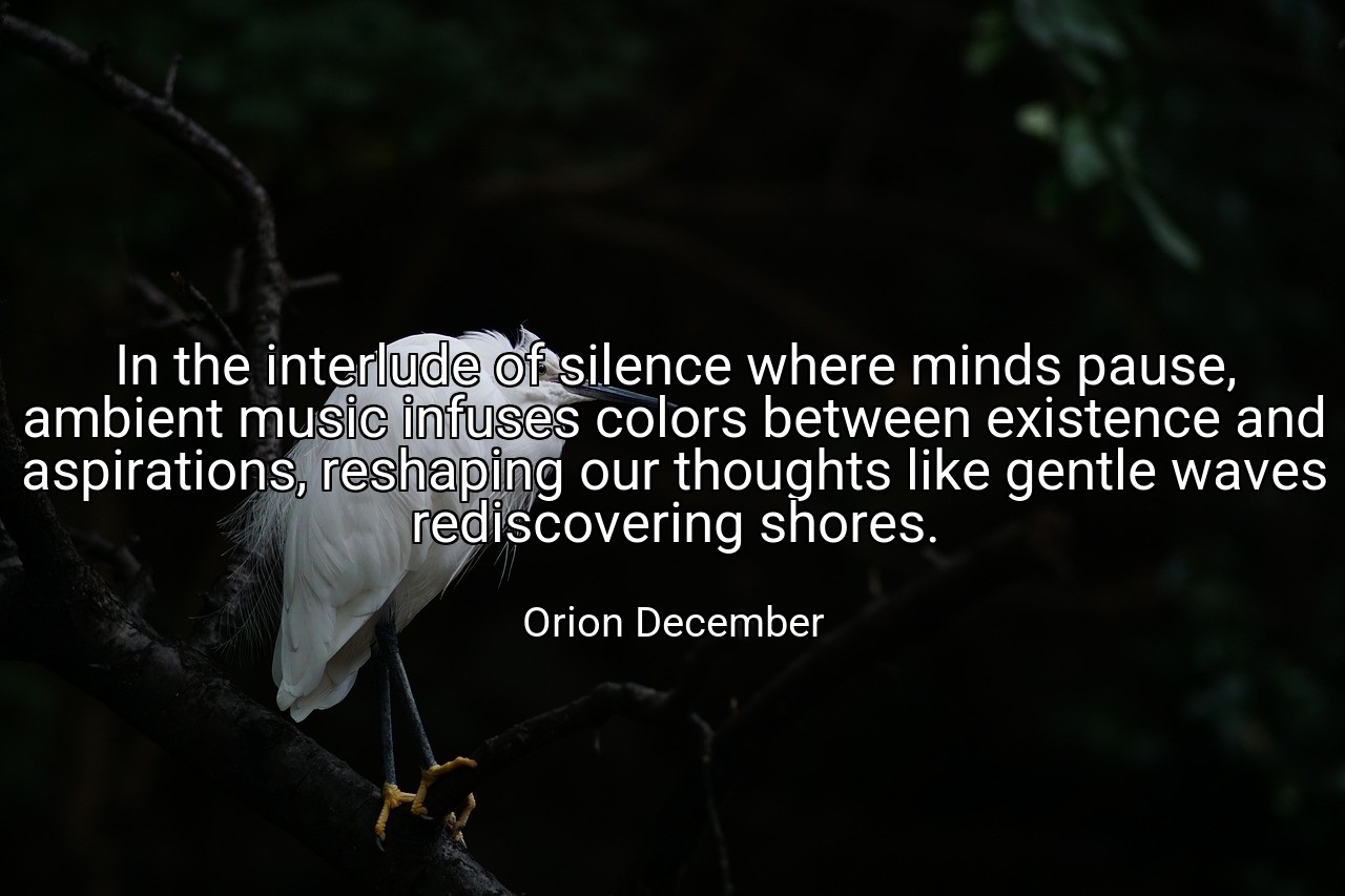 In the interlude of silence where minds pause, ambient music infuses colors between existence and aspirations, reshaping our thoughts like gentle waves rediscovering shores. - Orion December