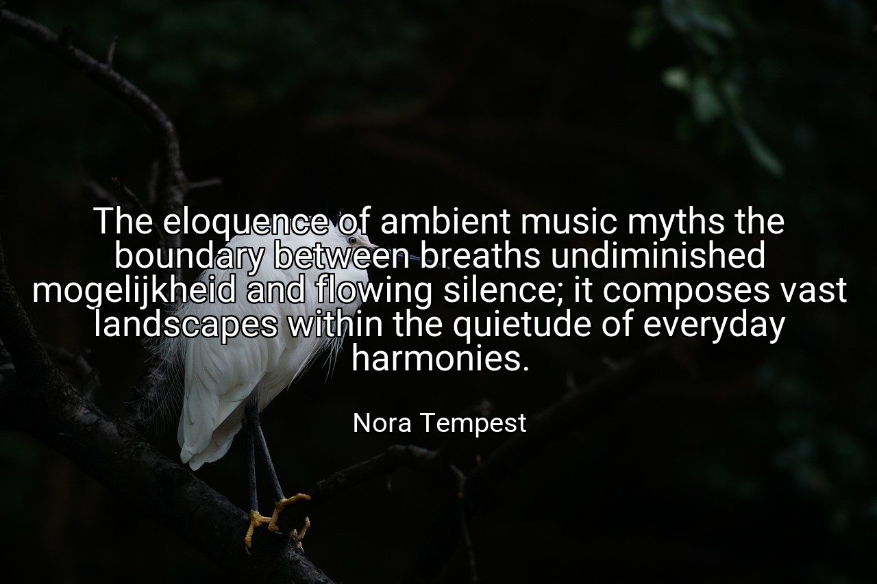 The eloquence of ambient music myths the boundary between breaths undiminished mogelijkheid and flowing silence; it composes vast landscapes within the quietude of everyday harmonies. - Nora Tempest