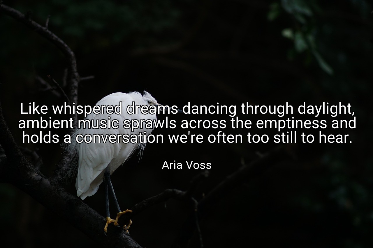 Like whispered dreams dancing through daylight, ambient music sprawls across the emptiness and holds a conversation we're often too still to hear. - Aria Voss