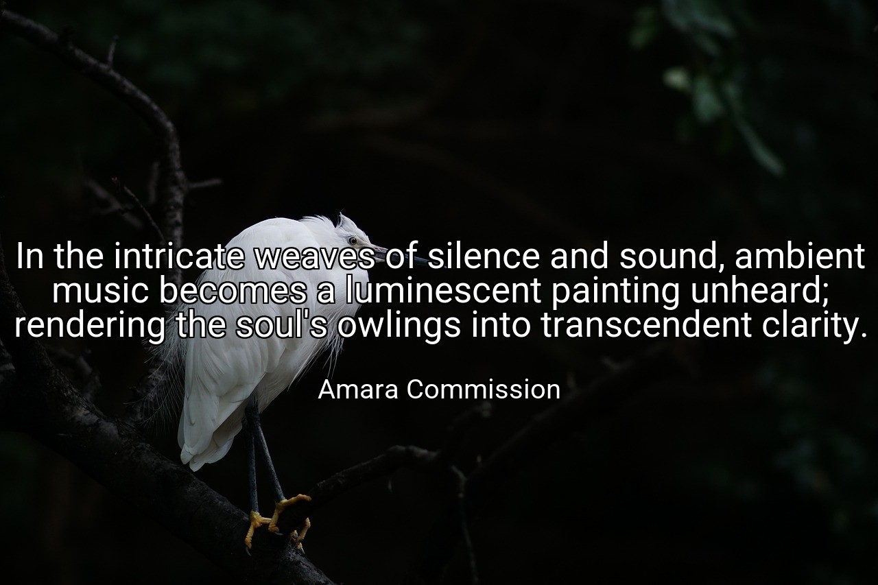 In the intricate weaves of silence and sound, ambient music becomes a luminescent painting unheard; rendering the soul's owlings into transcendent clarity. - Amara Commission
