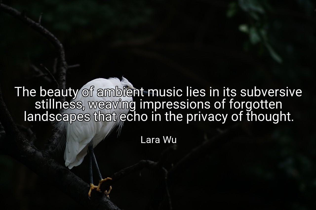 The beauty of ambient music lies in its subversive stillness, weaving impressions of forgotten landscapes that echo in the privacy of thought. - Lara Wu