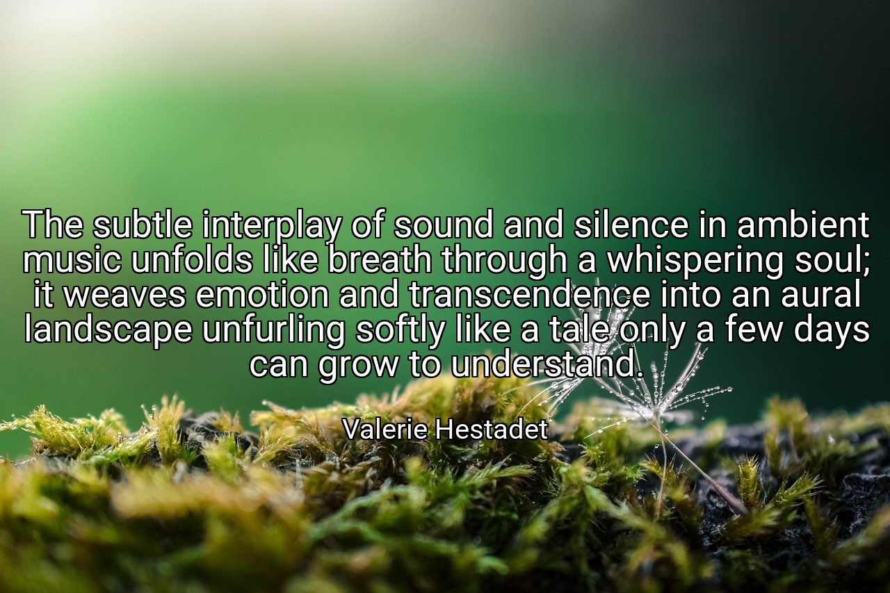 The subtle interplay of sound and silence in ambient music unfolds like breath through a whispering soul; it weaves emotion and transcendence into an aural landscape unfurling softly like a tale only a few days can grow to understand. - Valerie Hestadet