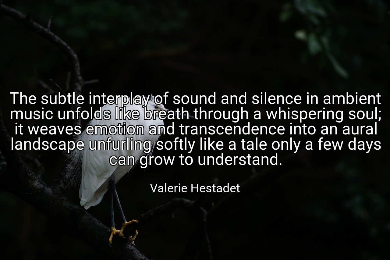 The subtle interplay of sound and silence in ambient music unfolds like breath through a whispering soul; it weaves emotion and transcendence into an aural landscape unfurling softly like a tale only a few days can grow to understand. - Valerie Hestadet