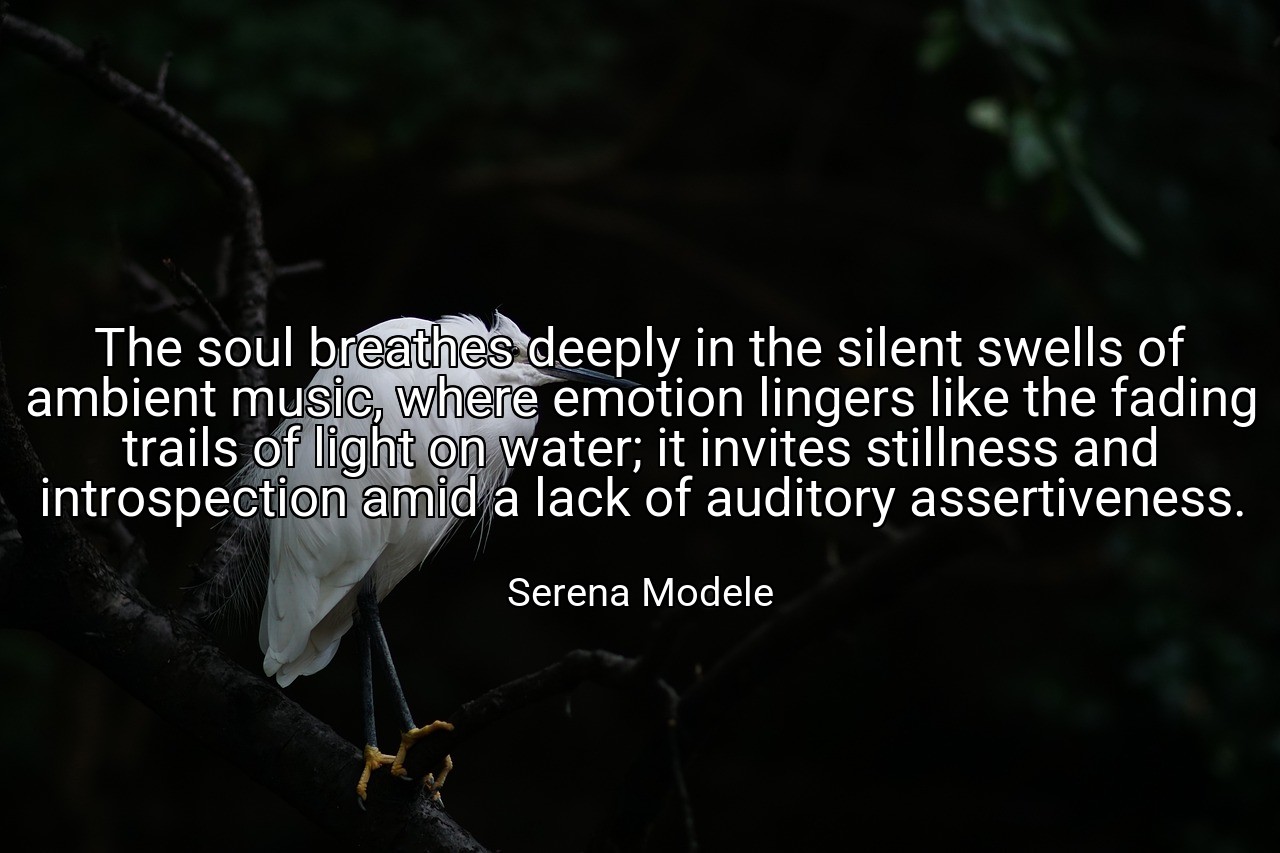 The soul breathes deeply in the silent swells of ambient music, where emotion lingers like the fading trails of light on water; it invites stillness and introspection amid a lack of auditory assertiveness. - Serena Modele