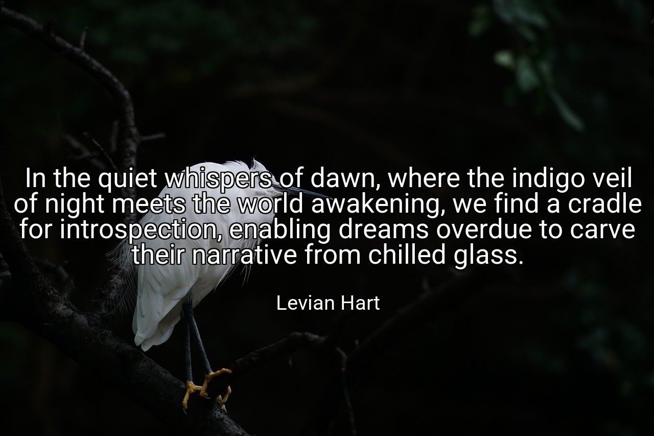 In the quiet whispers of dawn, where the indigo veil of night meets the world awakening, we find a cradle for introspection, enabling dreams overdue to carve their narrative from chilled glass. - Levian Hart