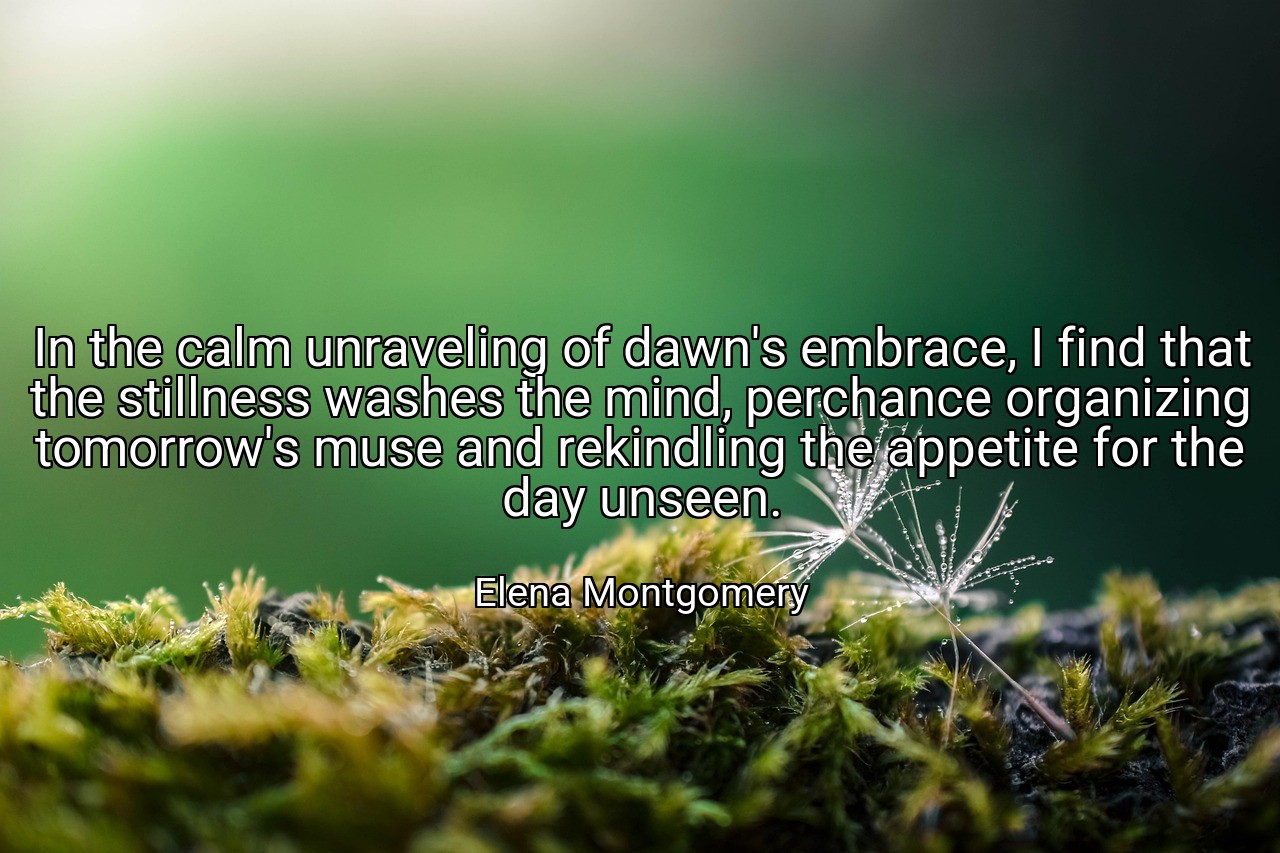 In the calm unraveling of dawn's embrace, I find that the stillness washes the mind, perchance organizing tomorrow's muse and rekindling the appetite for the day unseen. - Elena Montgomery