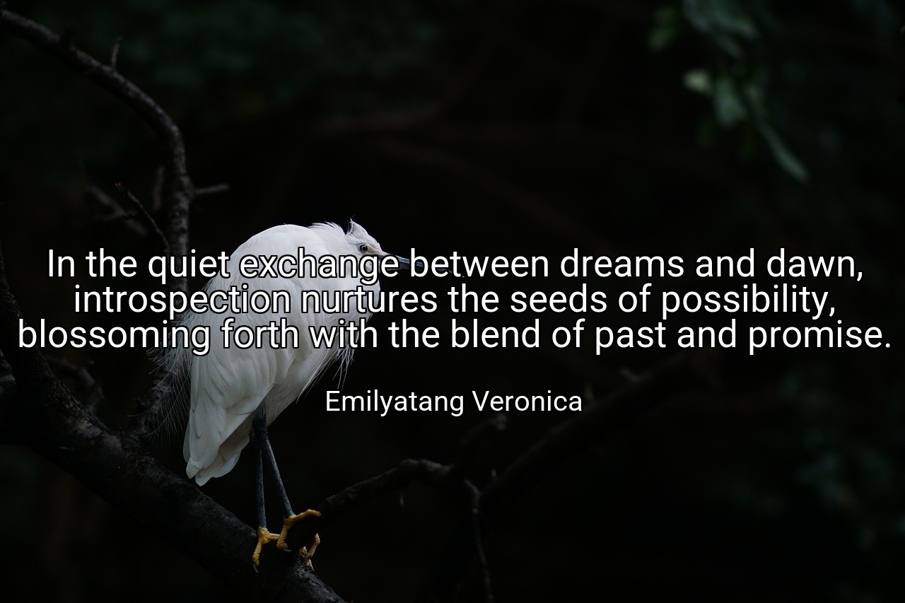 In the quiet exchange between dreams and dawn, introspection nurtures the seeds of possibility, blossoming forth with the blend of past and promise. - Emilyatang Veronica