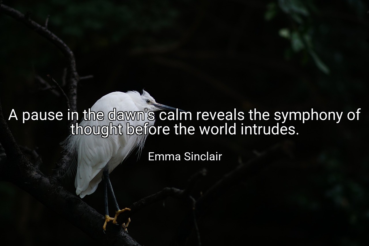 A pause in the dawn's calm reveals the symphony of thought before the world intrudes. - Emma Sinclair