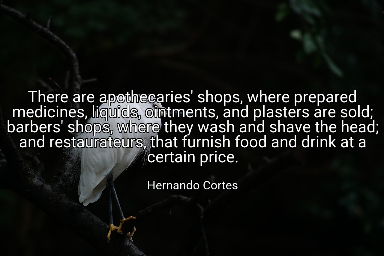 There are apothecaries' shops, where prepared medicines, liquids, ointments, and plasters are sold; barbers' shops, where they wash and shave the head; and restaurateurs, that furnish food and drink at a certain price. - Hernando Cortes