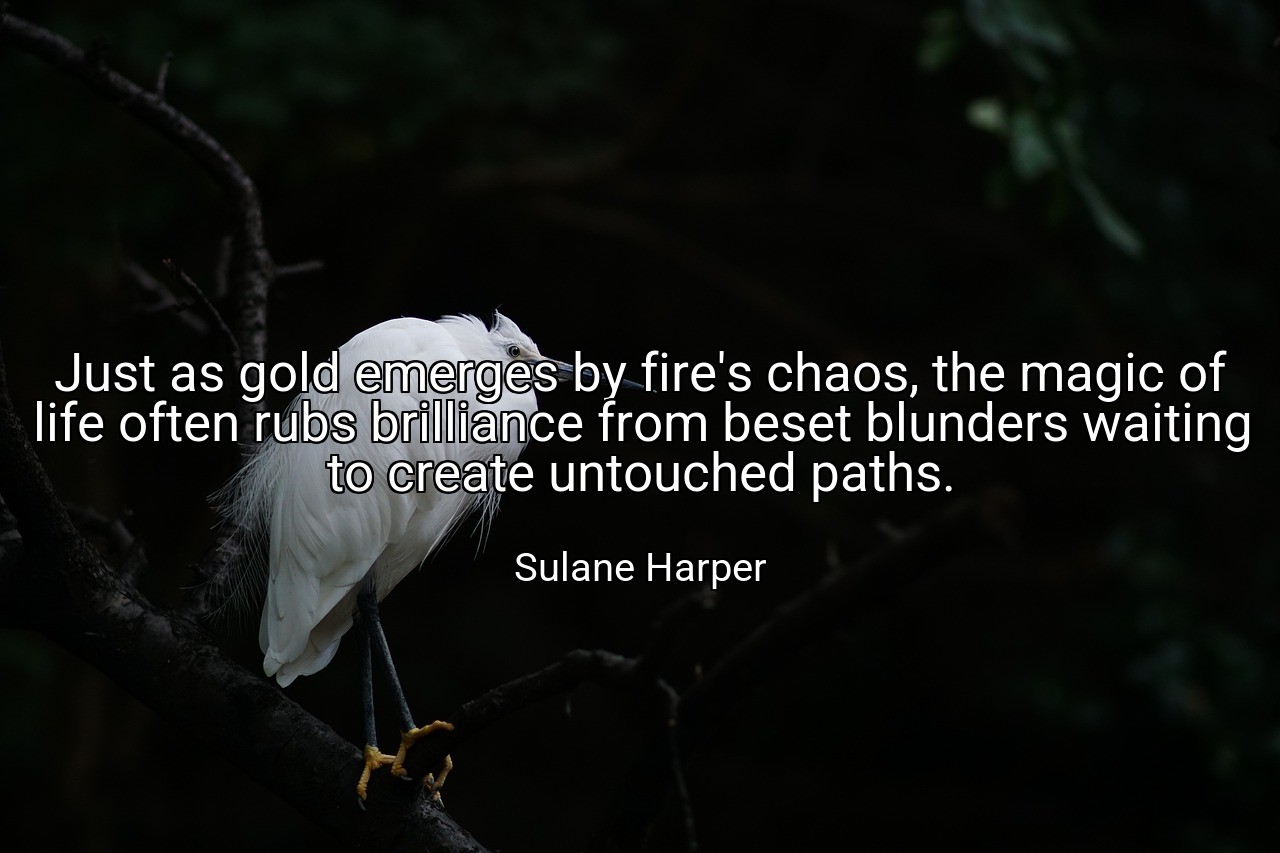 Just as gold emerges by fire's chaos, the magic of life often rubs brilliance from beset blunders waiting to create untouched paths. - Sulane Harper