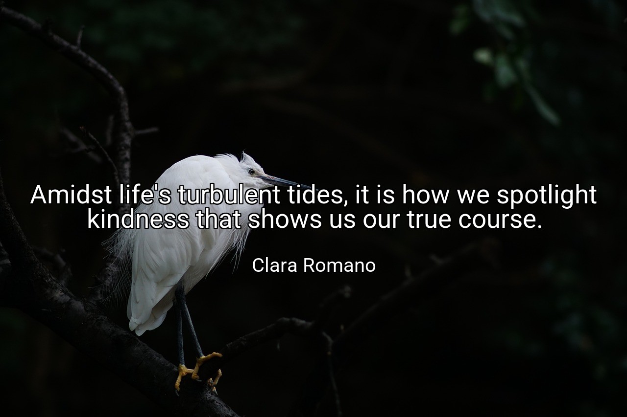 Amidst life's turbulent tides, it is how we spotlight kindness that shows us our true course. - Clara Romano