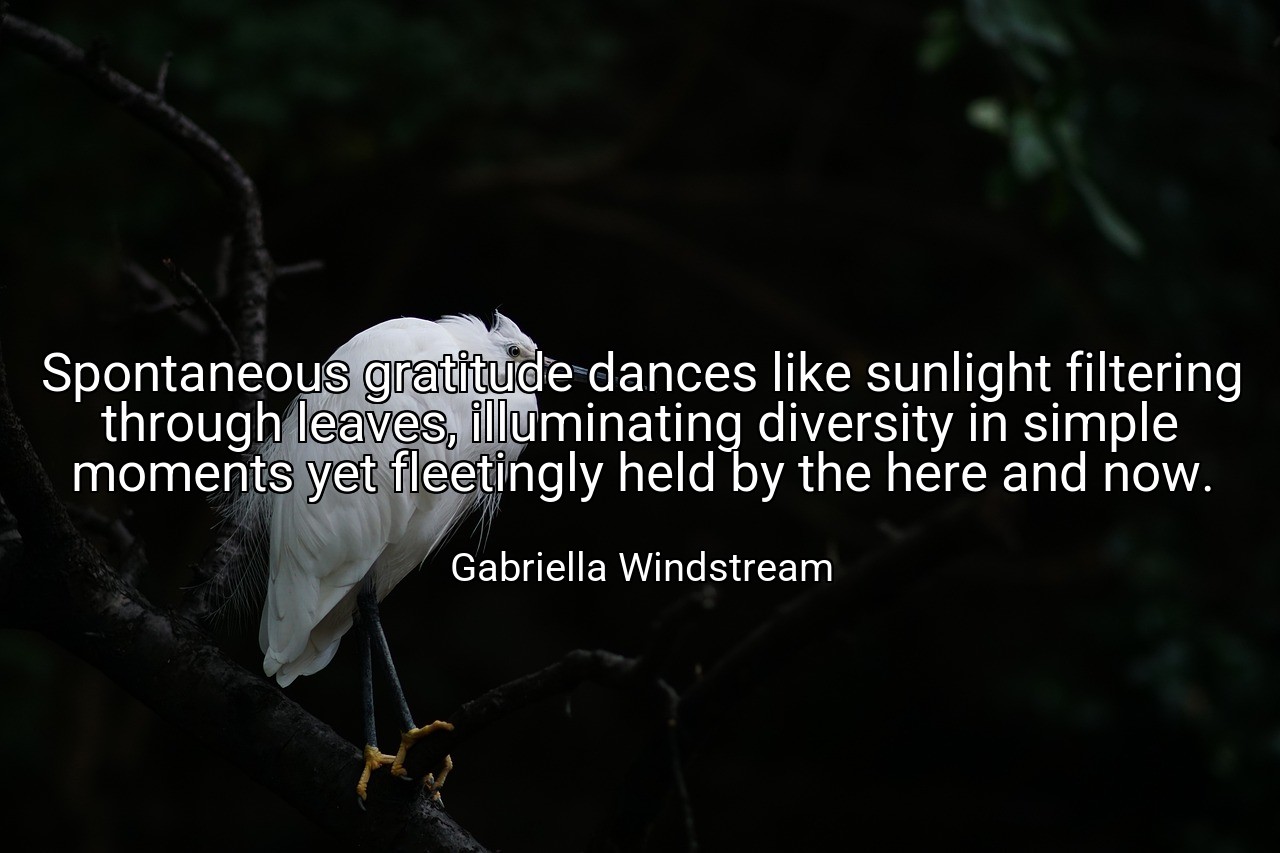 Spontaneous gratitude dances like sunlight filtering through leaves, illuminating diversity in simple moments yet fleetingly held by the here and now. - Gabriella Windstream