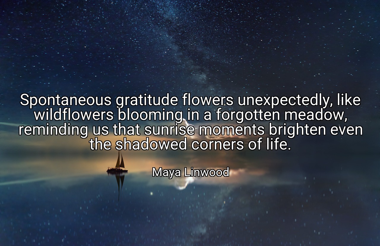 Spontaneous gratitude flowers unexpectedly, like wildflowers blooming in a forgotten meadow, reminding us that sunrise moments brighten even the shadowed corners of life. - Maya Linwood